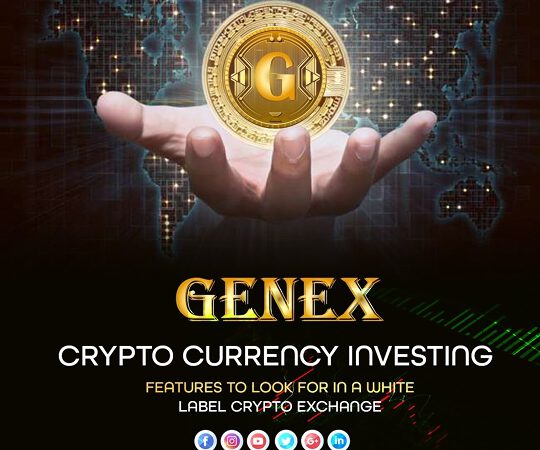 The New Generation in Crypto Coins   Genex Coins Winning People’s Hearts-   A new digital investment opportunity available on different trade exchanges